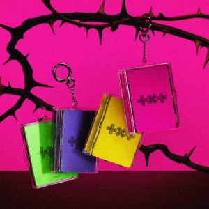 투모로우바이투게더 (TXT) - 7TH YEAR: 가시덤불에 잠시 바람이 멈췄을 때 [Photocard Case Ver.][4종 SET]